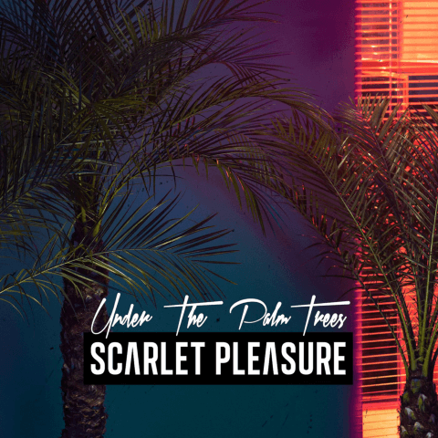 Scarlet Pleasure Under the palm trees