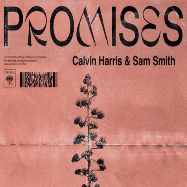 Calvin Harris & Sam Smith Promises